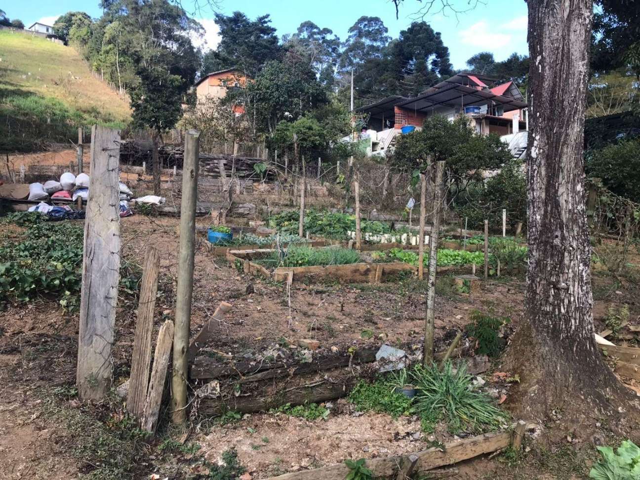 Lote/Terreno de 6000m² no bairro São Pedro, em Juiz de Fora | Eu Corretor