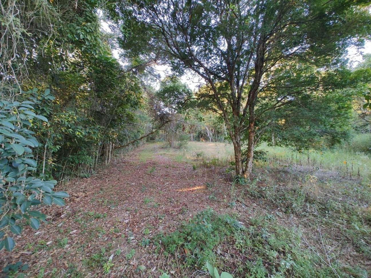 Casa de 5 quartos, 380m² no bairro São Pedro, em Juiz de Fora | Eu Corretor