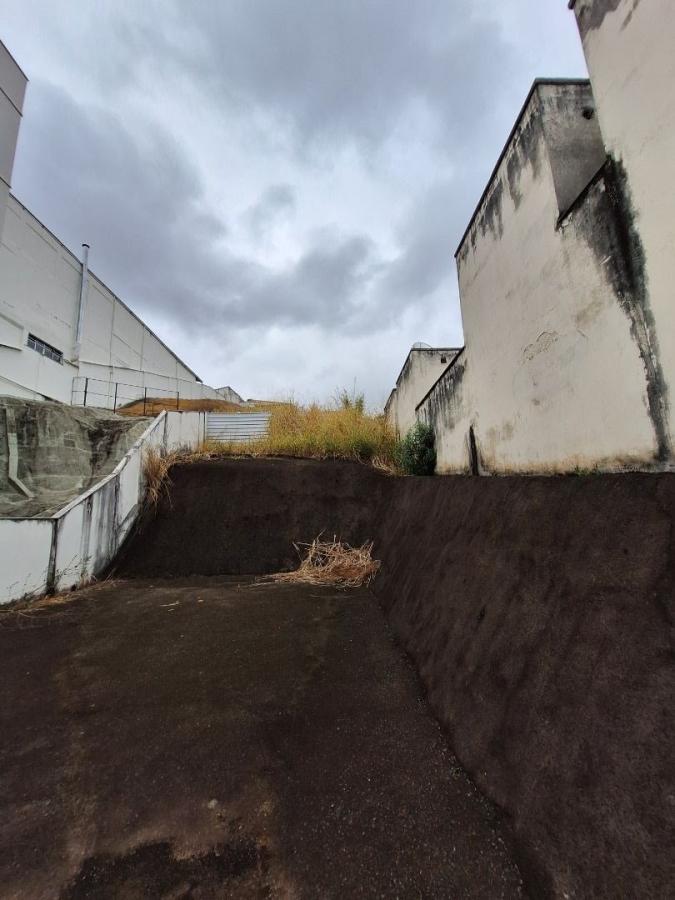 Casa, 5 quartos, 277 m² - Foto 15