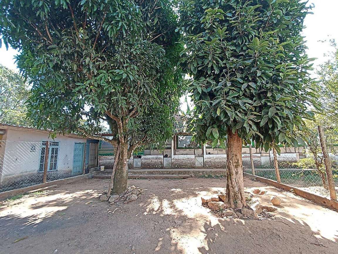 Chácara, 5 quartos, 3250 m² - Foto 7