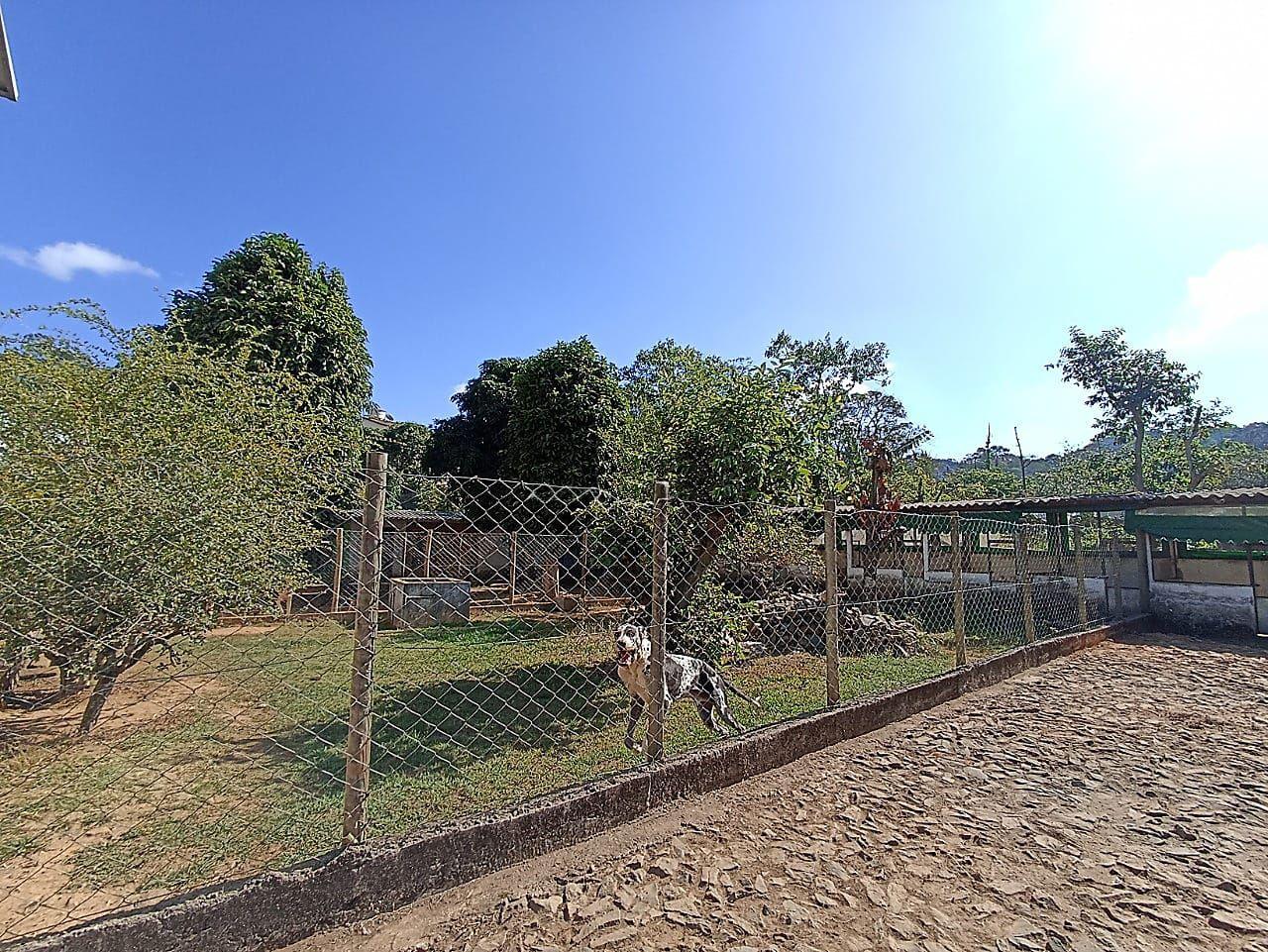 Chácara, 5 quartos, 3250 m² - Foto 10