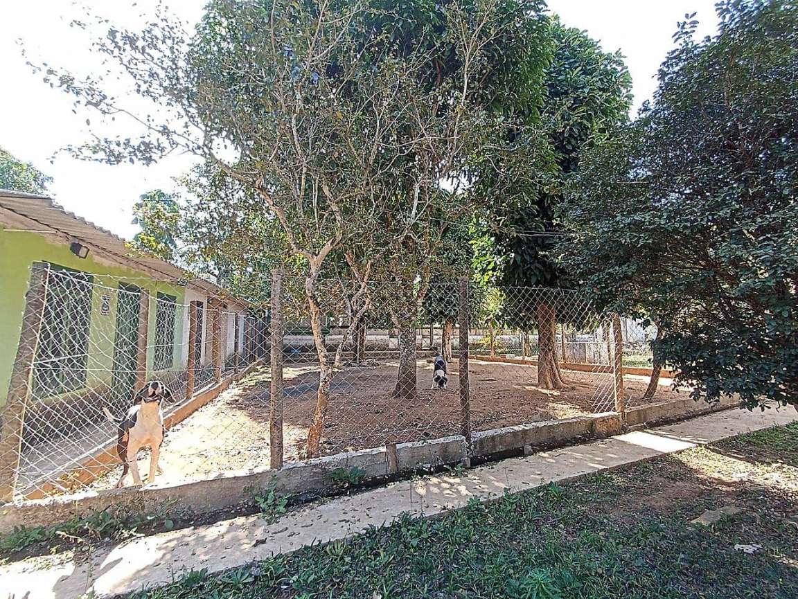 Chácara, 5 quartos, 3250 m² - Foto 15