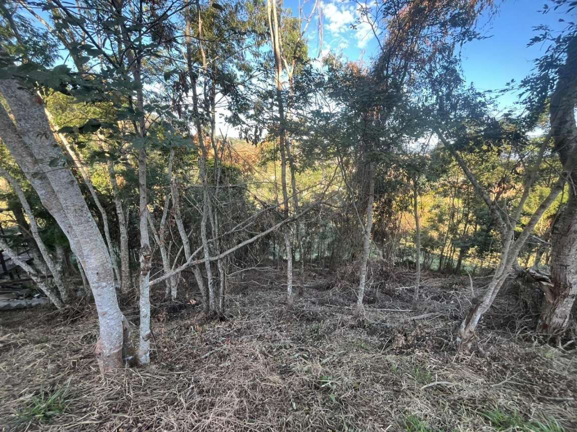 Terreno, 1263 m² - Foto 8