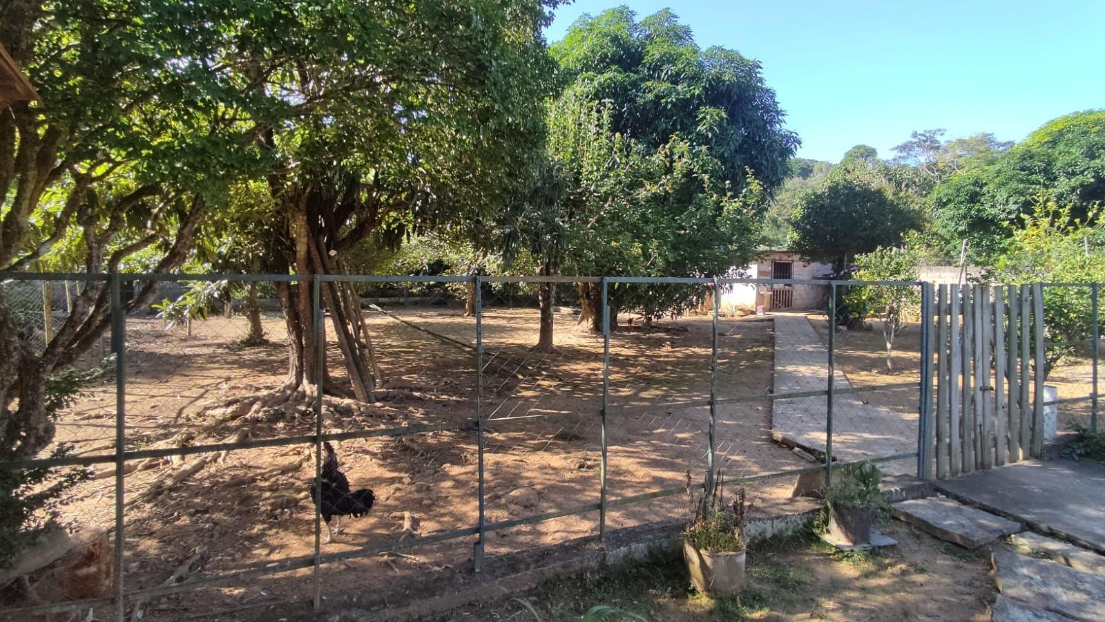 Casa, 4 quartos, 208 m² - Foto 49