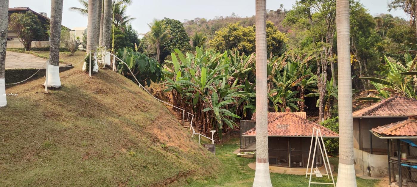 Chácara, 5 quartos, 3 hectares - Foto 6