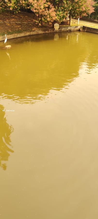 Chácara, 5 quartos, 3 hectares - Foto 9