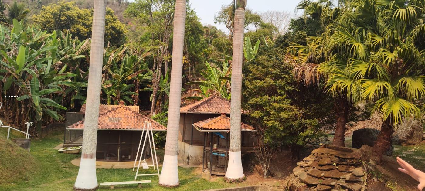 Chácara, 5 quartos, 3 hectares - Foto 8