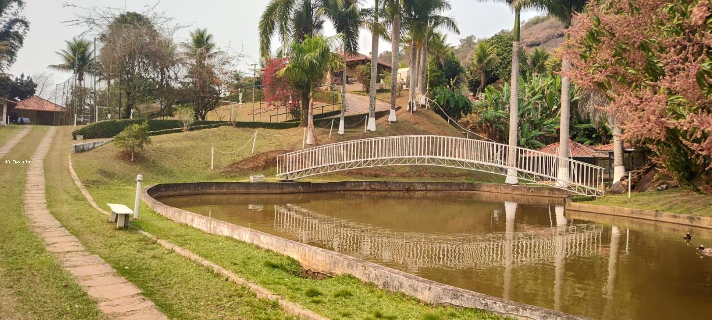 Chácara, 5 quartos, 3 hectares - Foto 12