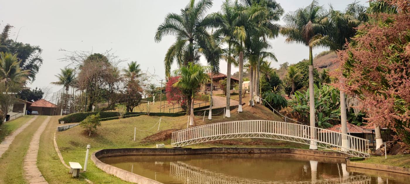 Chácara, 5 quartos, 3 hectares - Foto 14