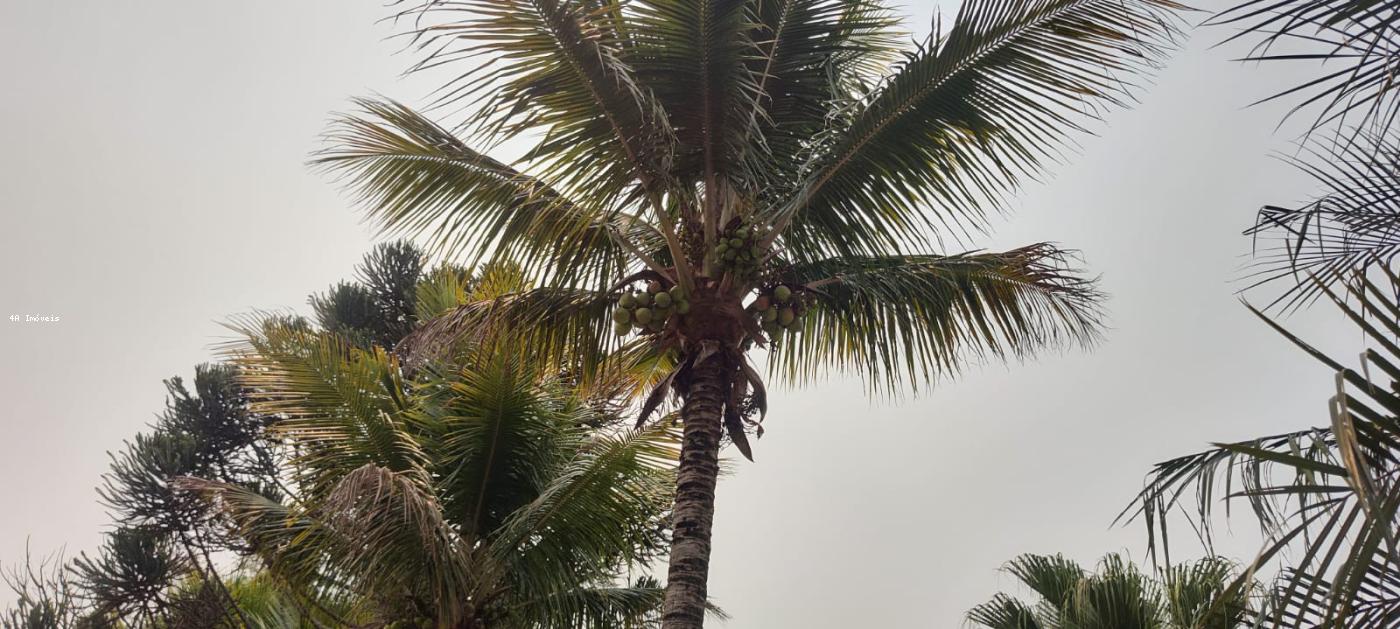 Chácara, 5 quartos, 3 hectares - Foto 15