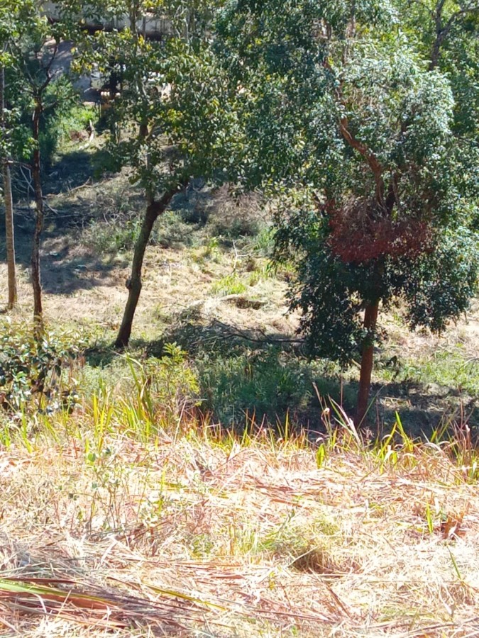 Terreno, 3035 m² - Foto 6