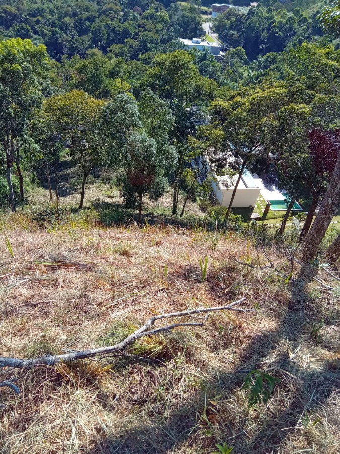 Terreno, 3035 m² - Foto 8