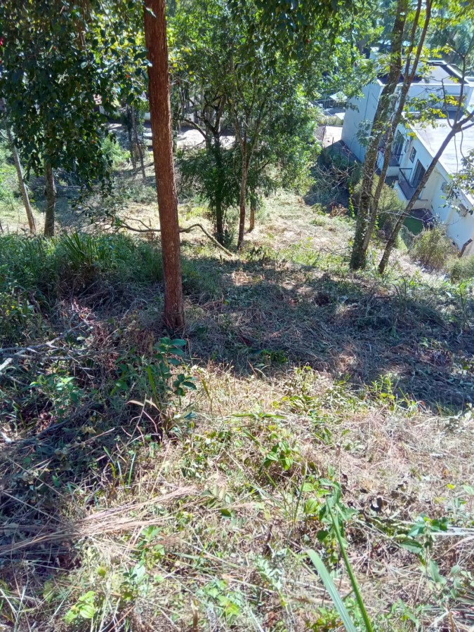 Terreno, 3035 m² - Foto 7