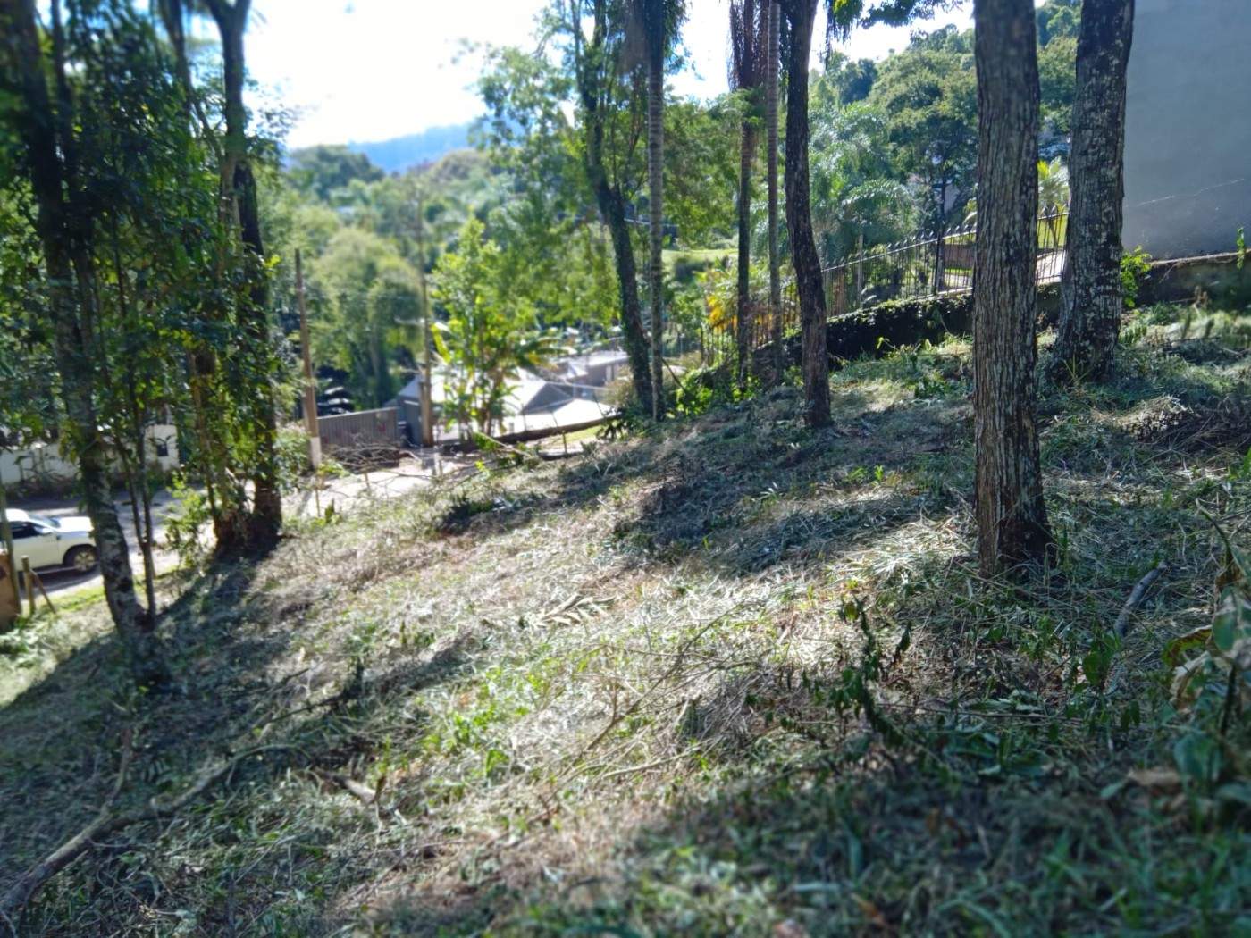 Terreno, 3035 m² - Foto 11