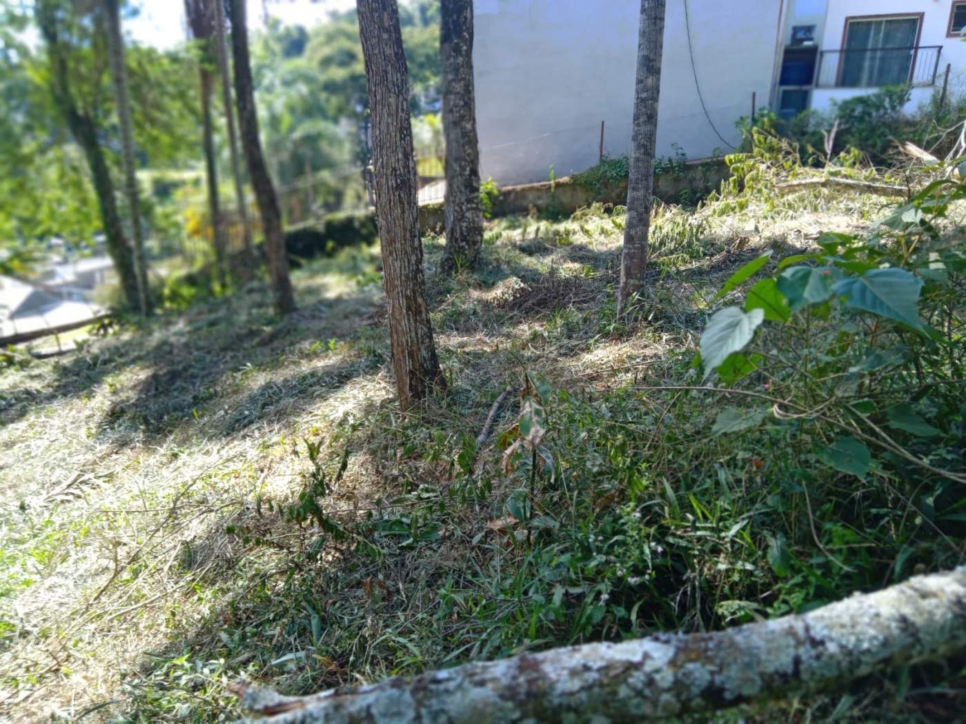 Terreno, 3035 m² - Foto 16