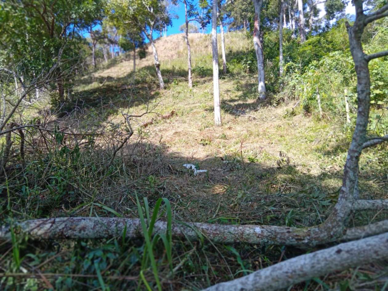 Terreno, 3035 m² - Foto 14