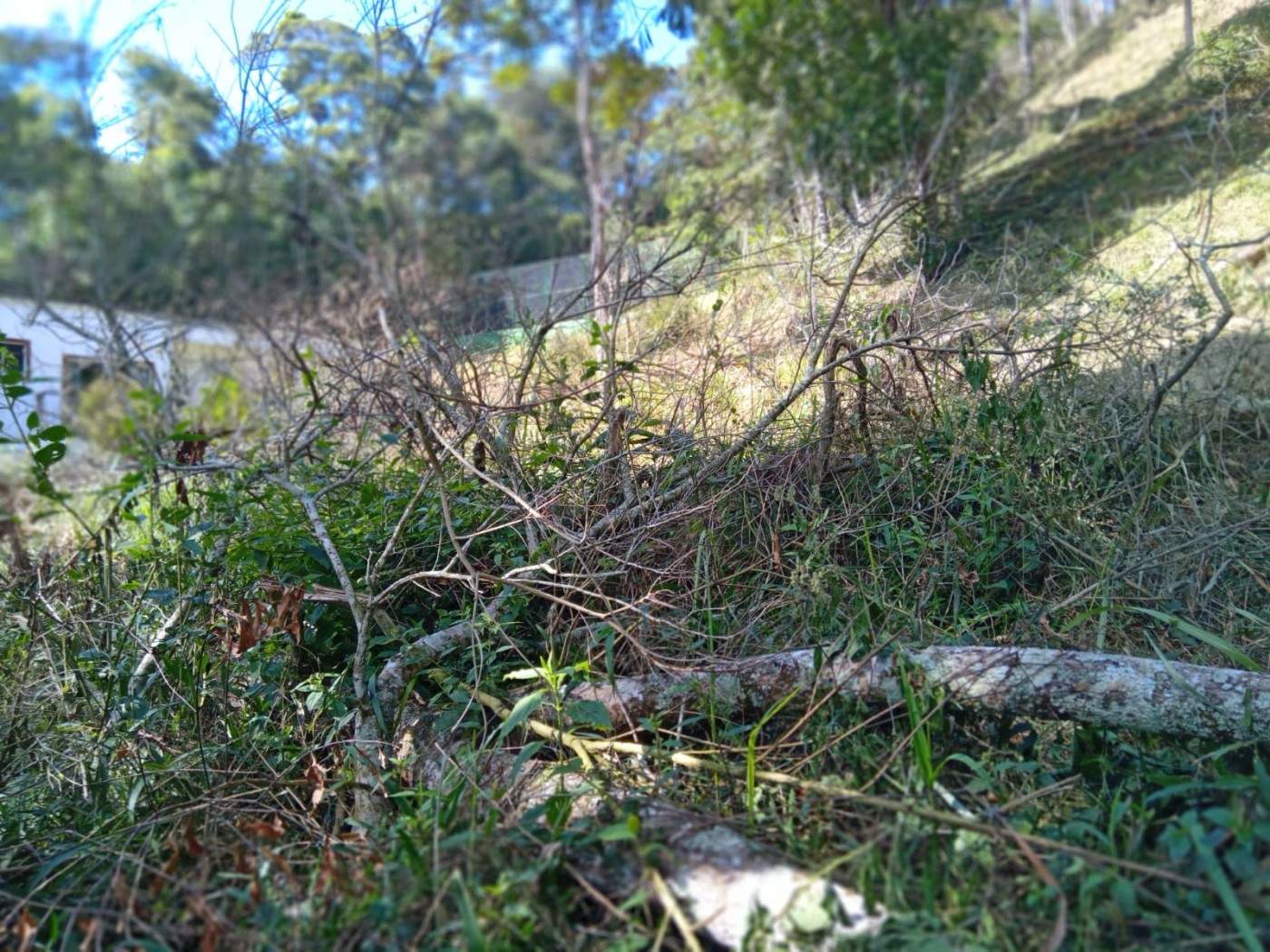 Terreno, 3035 m² - Foto 15