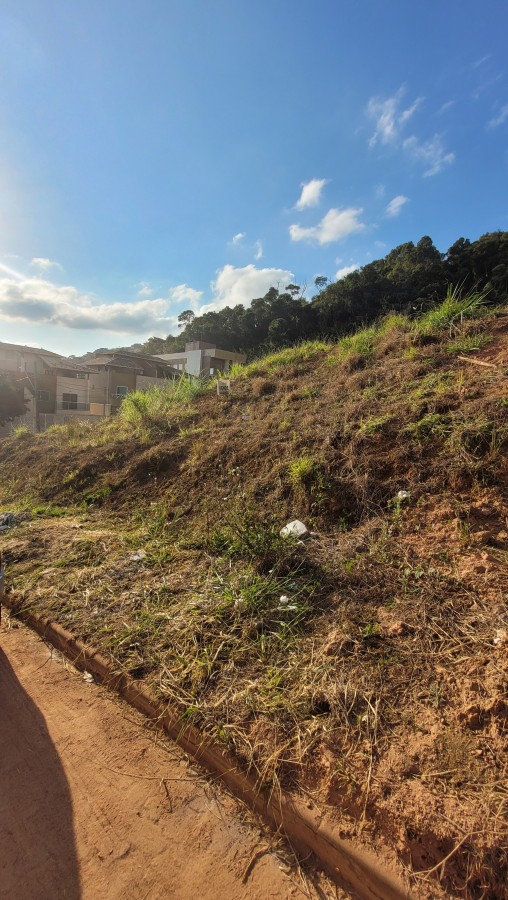 Terreno, 600 m² - Foto 5