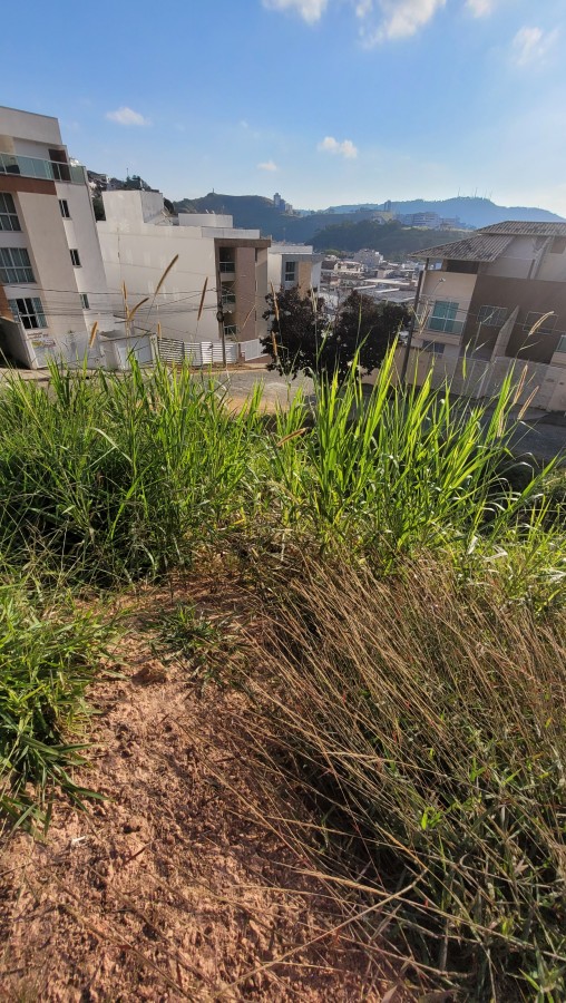 Terreno, 600 m² - Foto 8